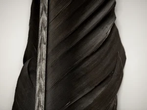 Rich brown feather reveals intricate textures and delicate rib patterns in detail.