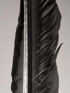 Detailed feather macro reveals elegant curvature, fine grooves, and natural sheen.