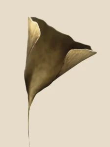 Elegant metallic petal curves upward gracefully, glowing softly against warm neutral background.