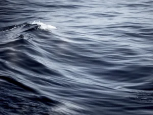 Deep navy water curls gently, sunlight glistens atop smooth rolling surface.