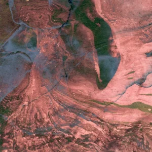 Marbled peach blurs with veins of deep emerald in rich contrast.