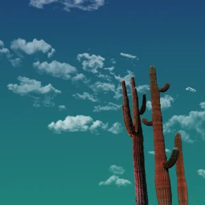 A family of cacti wave to a seafoam sky.