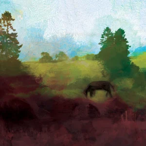 A tranquil rural scene depicts a horse grazing in a lush, verdant field. Tall trees frame the image, while deep red creeps up the green.