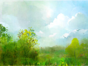 Birds fly freely over a lush meadow, bathing in warm sunlight.