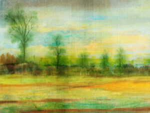 An open field is partitioned from flourishing wildlife by a crooked fence, provoking nostalgia for a time gone by.