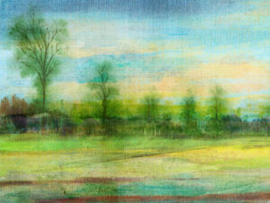 An open field is partitioned from flourishing wildlife by a crooked fence, provoking nostalgia for a time gone by.