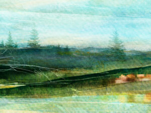 Mysterious view from flowing clear water of a lush river bank.