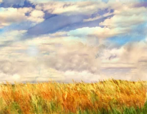 Serene countryside of tall golden grass under dense fluffy clouds hinting at a bright blue sky beyond.