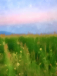 Dreamy vision of a wild grassland, spotted with flowers under a pastel sky.