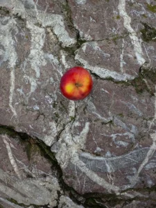 A bright red apple stands in the center of a marbled rocky backdrop.