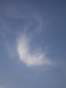 Wispy cirrus cloud above, adrift in blue sky, tickles imagination.