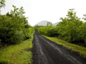 A black gravel road stretches into the mountainous distance, surrounded by lush, dense vegetation.