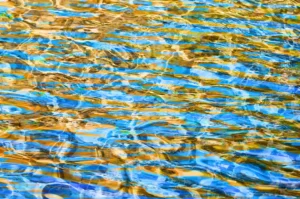 Glimmers of gold and orange shine on the surface of a rippling pool of blue water.