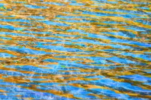 Glimmers of gold and orange shine on the surface of a rippling pool of blue water.